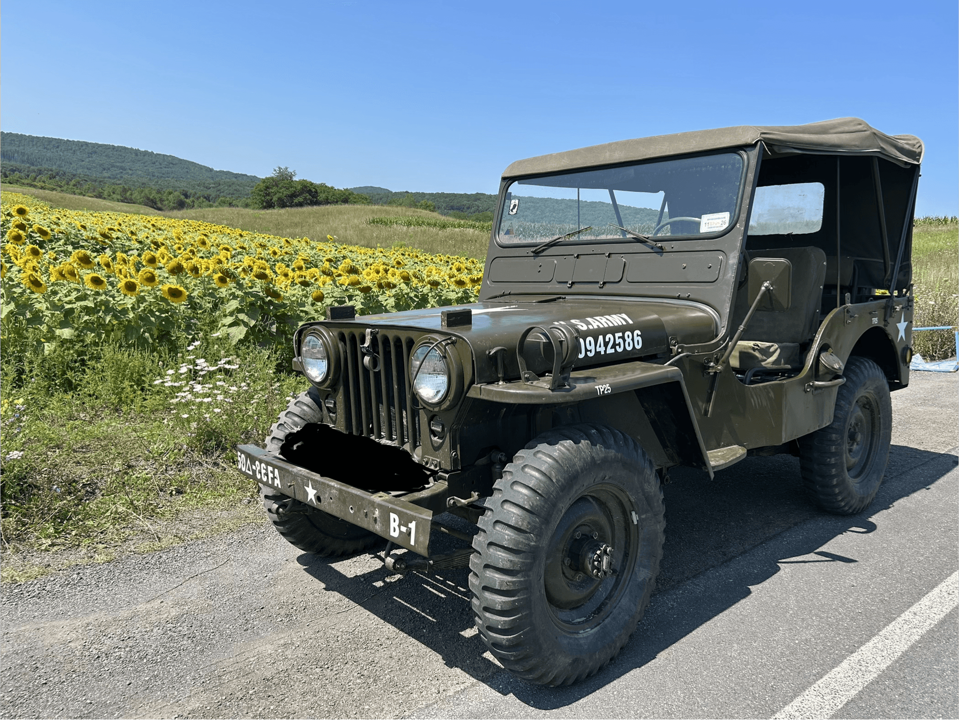 1952 Willys M38 Military Jeep